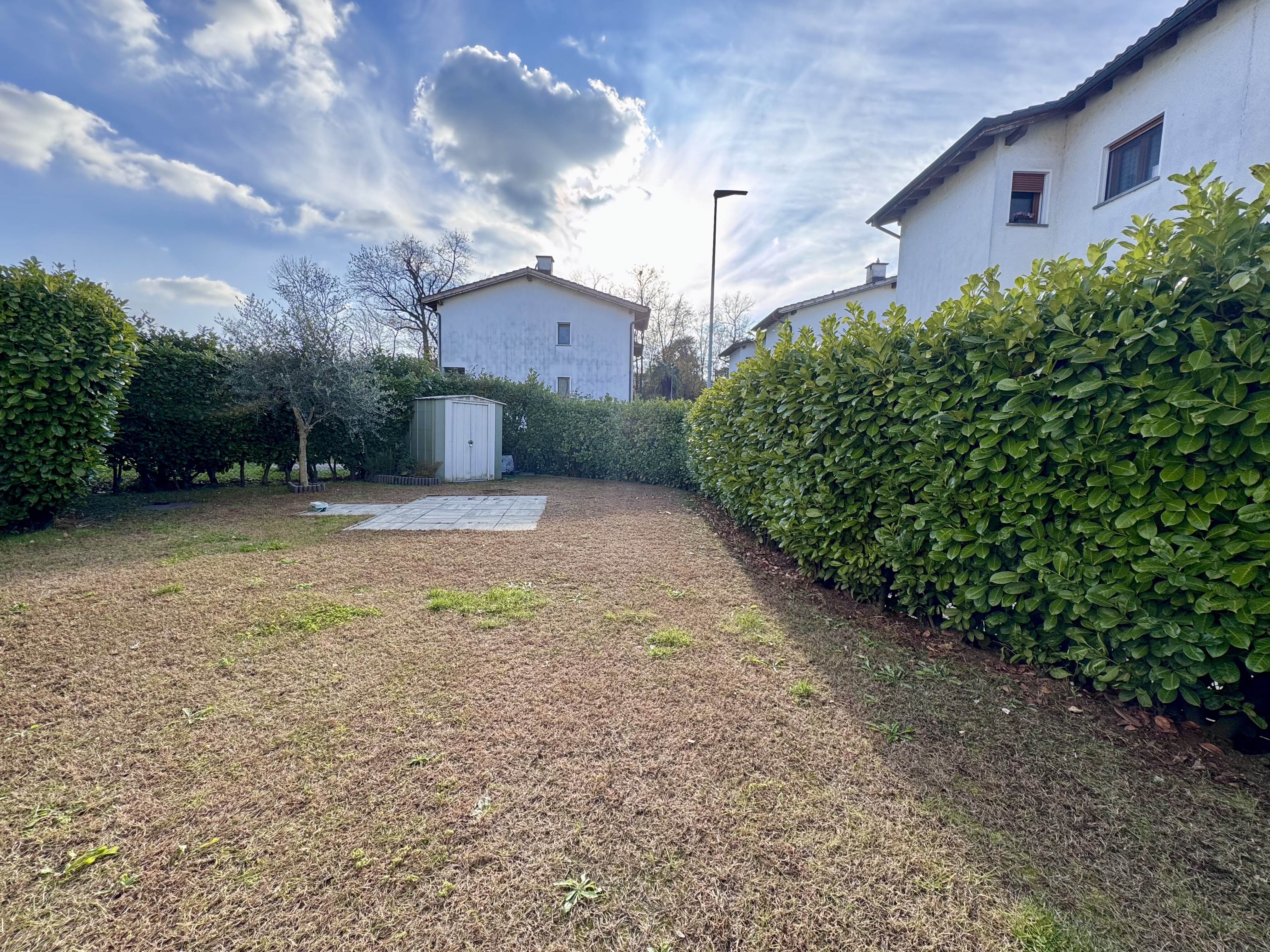 Garten mit Rasenfläche und Hecken