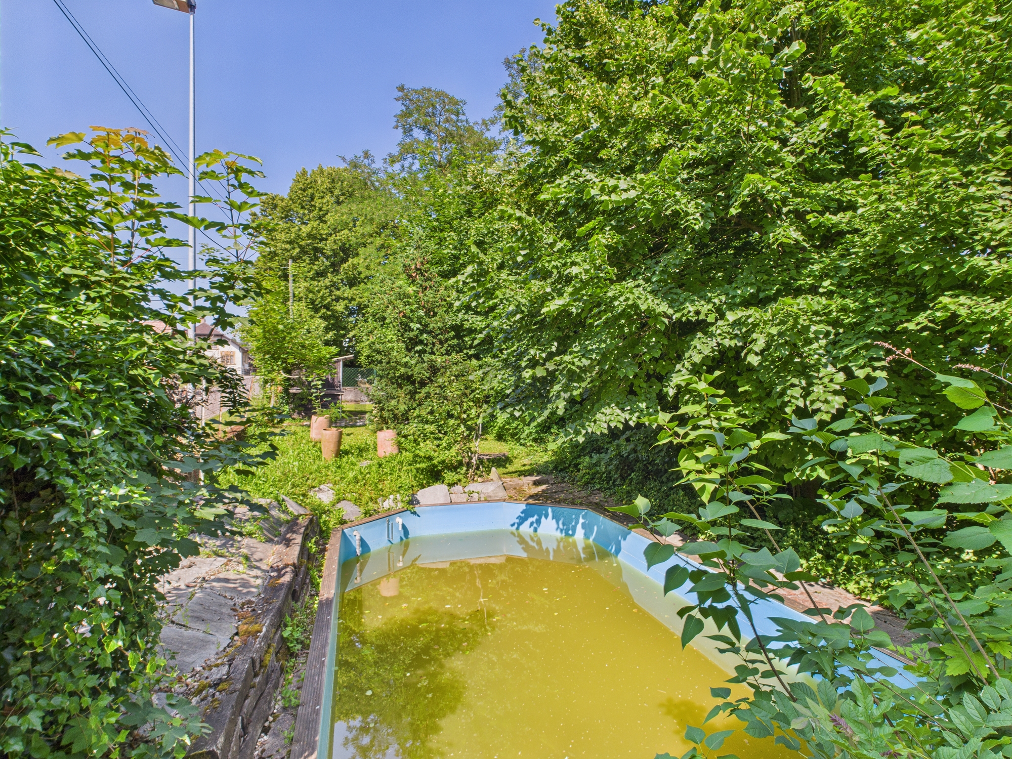 Verwilderter Garten mit kleinem Pool