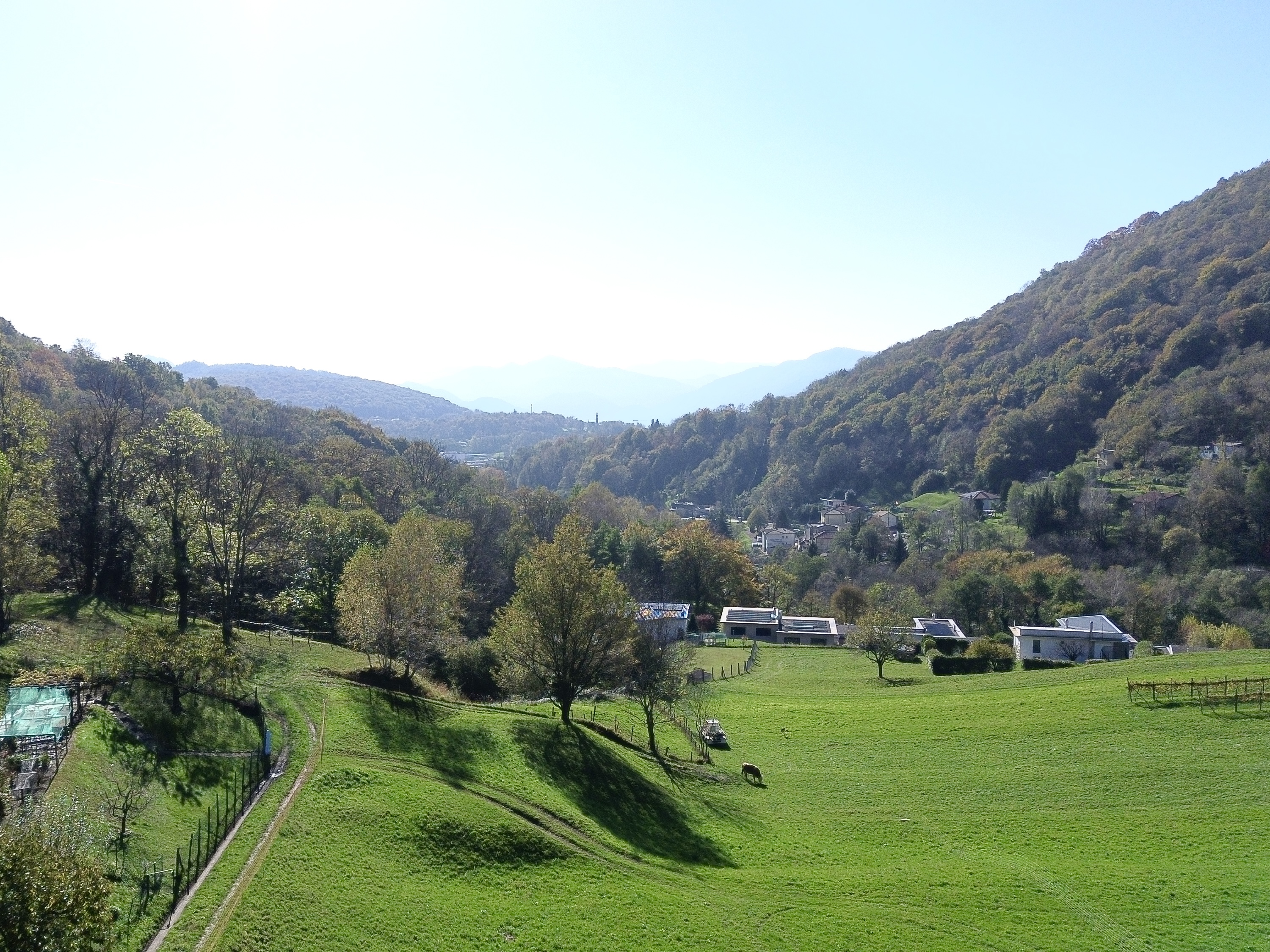 Ländliche Tallandschaft mit Wiesen und Bergen