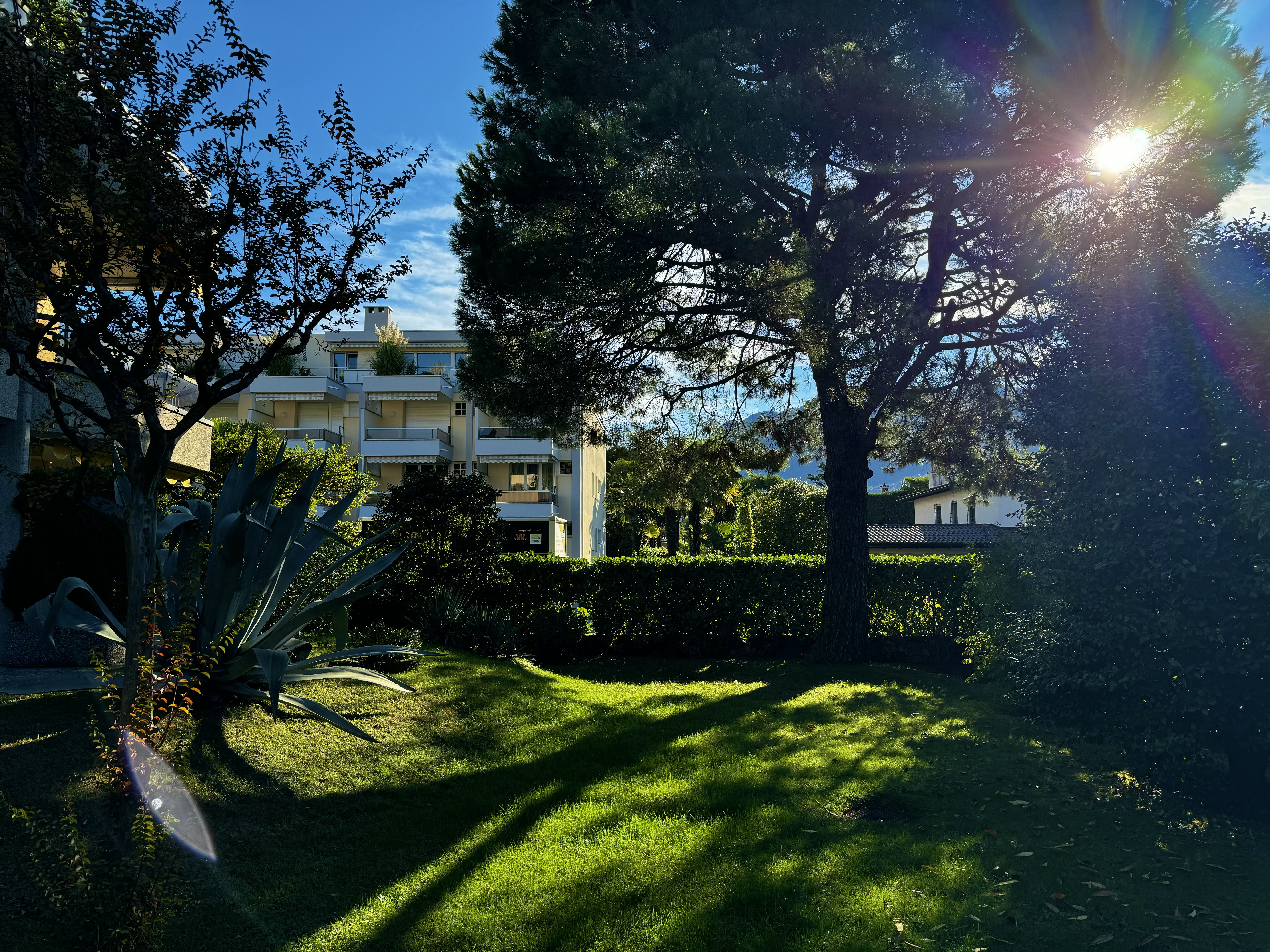 Garten mit Wohngebäuden im Hintergrund