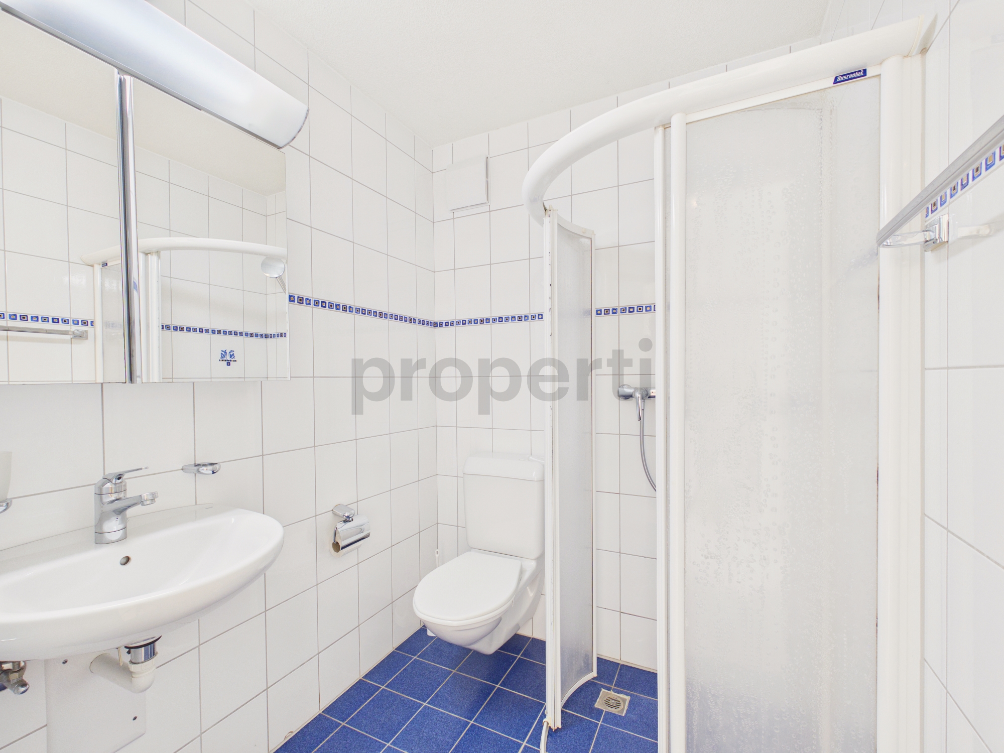 Kleines weiß gefliestes Badezimmer mit Dusche, WC und Waschbecken