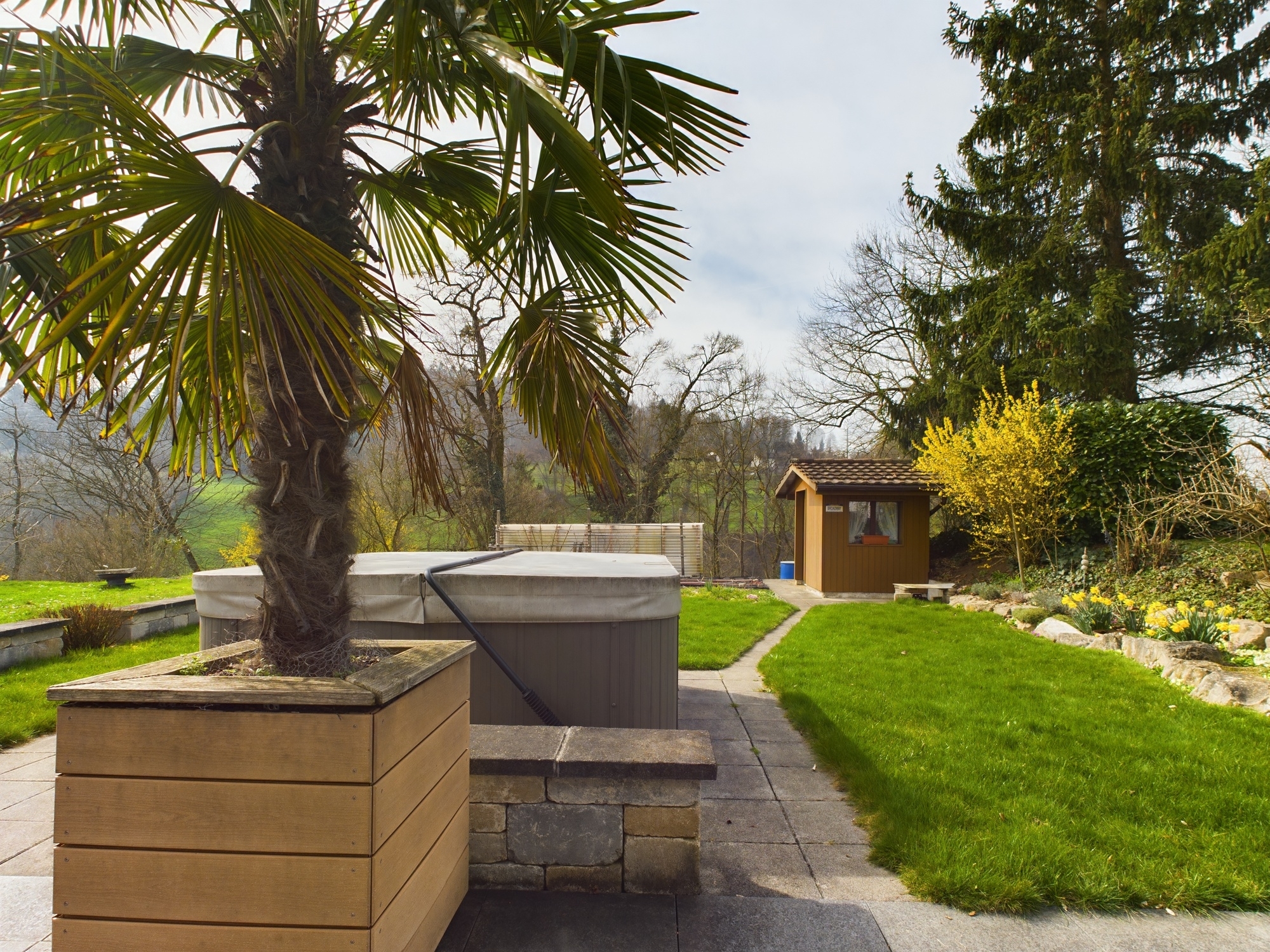 Garten mit Whirlpool und Palmbaum