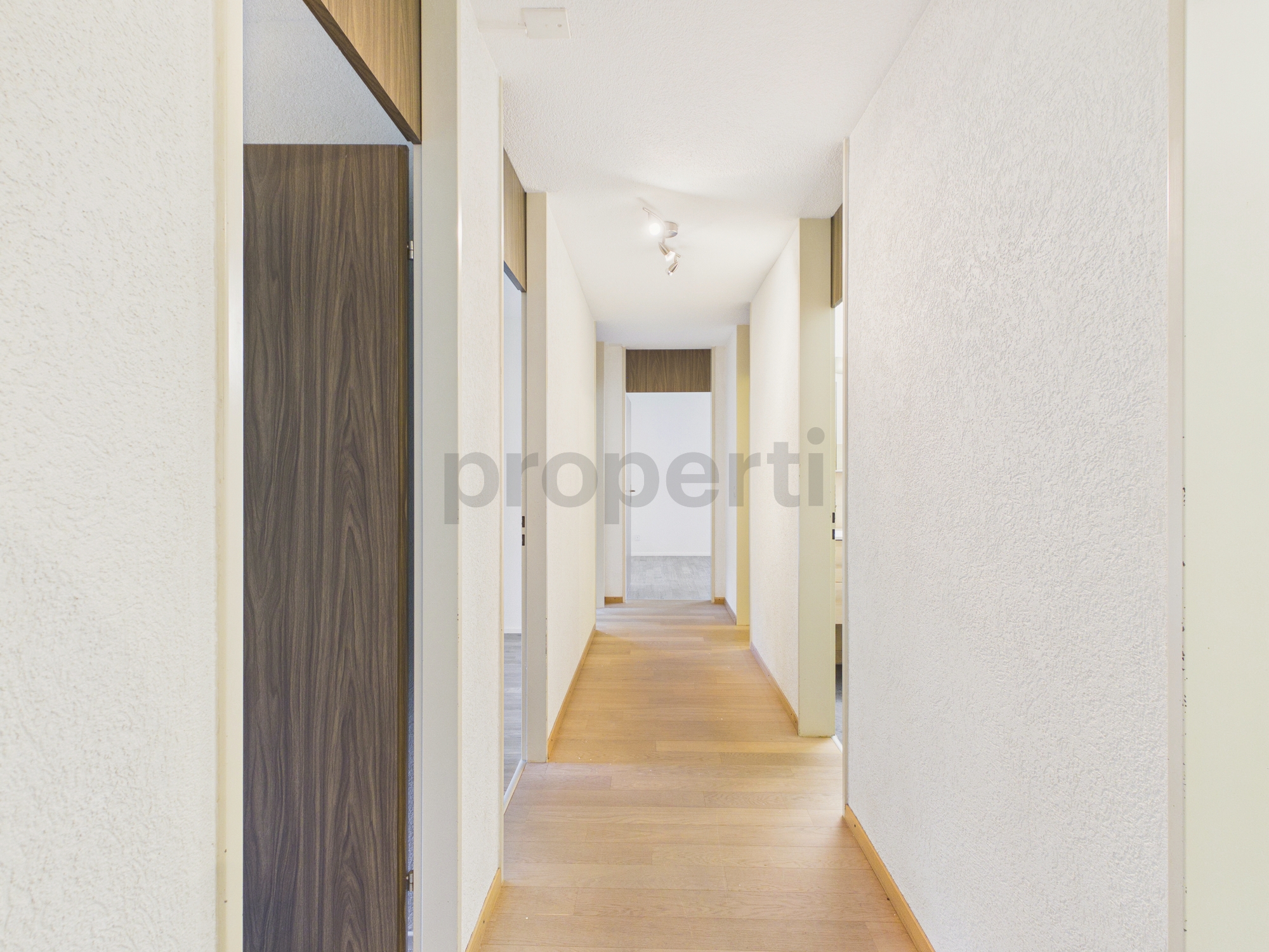 Langer heller Flur mit Holzboden