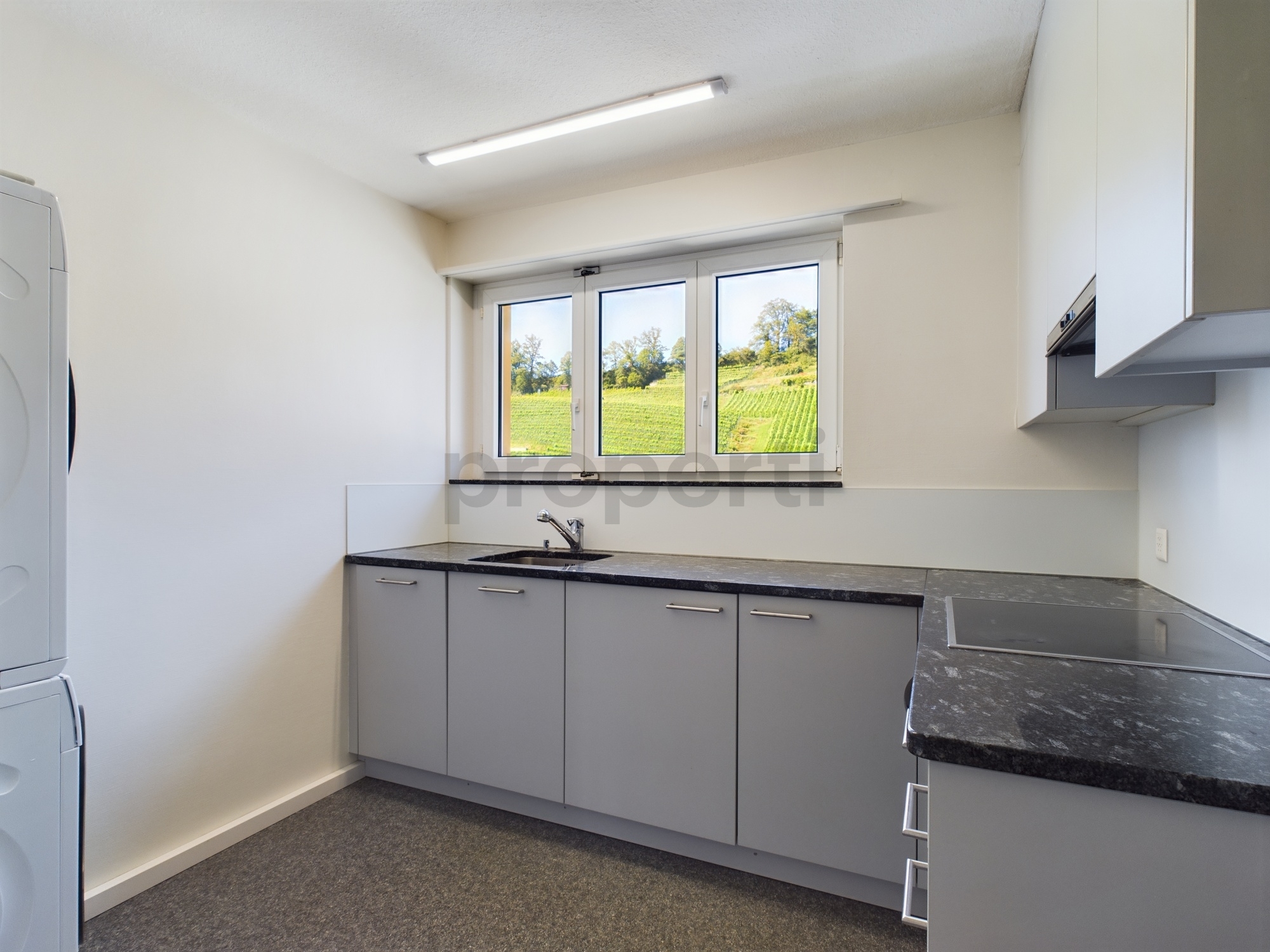 Kleine moderne Küche mit Blick ins Grüne