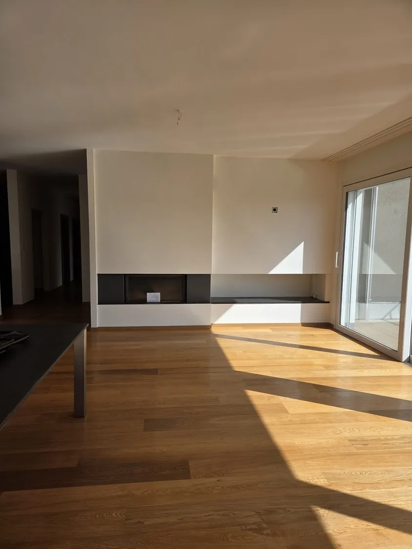 Modernes Wohn-Esszimmer mit Kamin und Terrasse