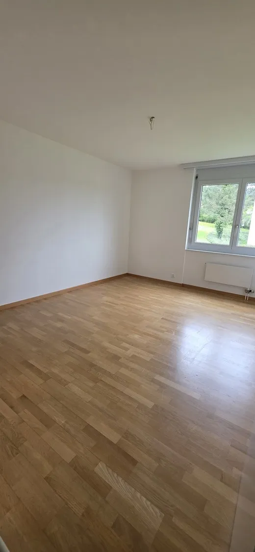 Leerer Wohnraum mit Parkett und Fenster