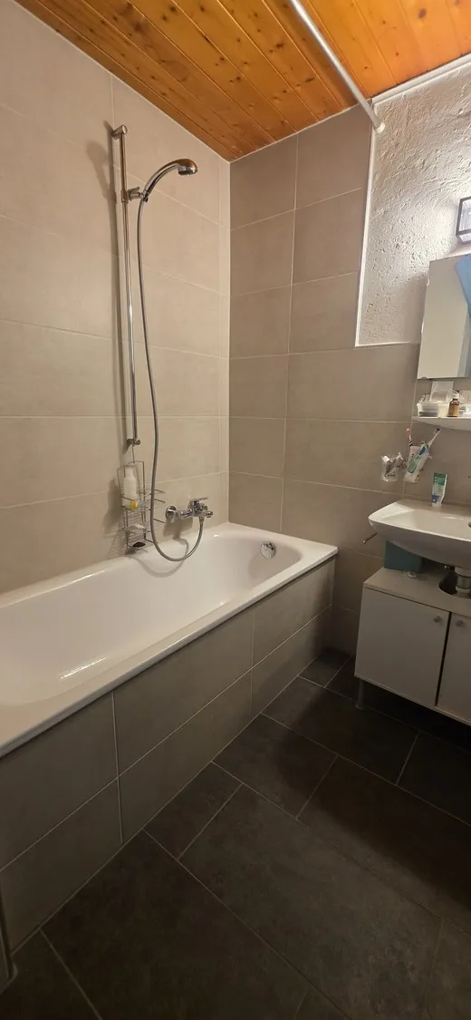 Badezimmer mit Wanne und Dachverkleidung