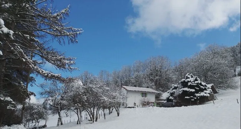 Verschneite Landschaft mit Haus