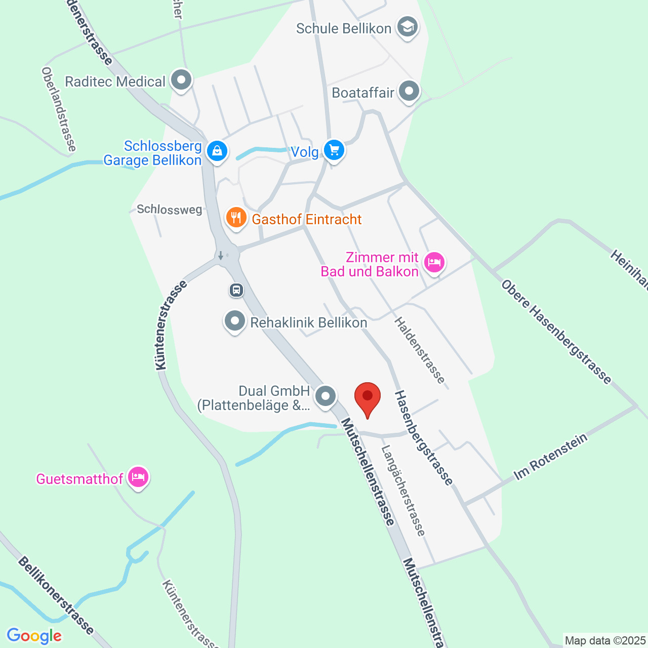 Kartenansicht eines markierten Standorts in Bellikon
