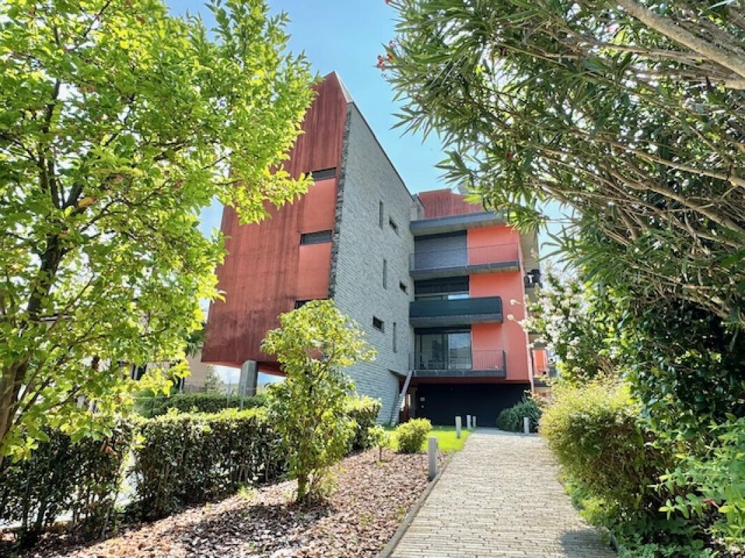 Moderne Wohnanlage mit Gartenweg
