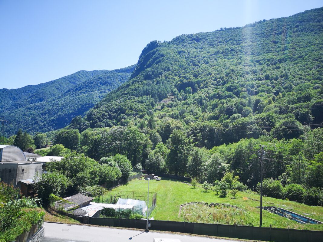 Bergtal mit Wiese und dicht bewaldeten Hängen