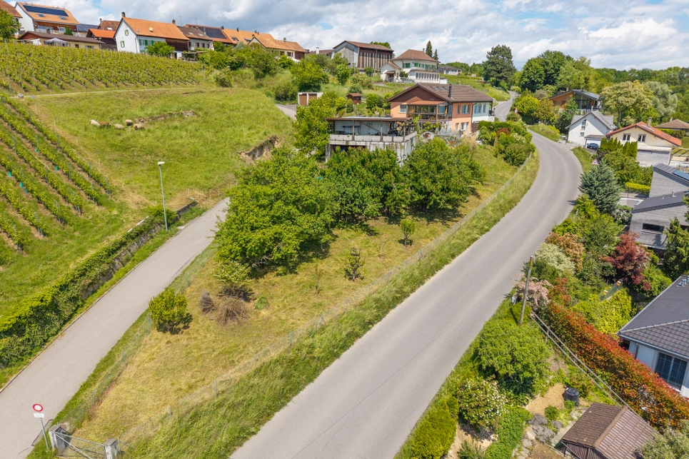 Luftaufnahme einer Hanglage mit Wohnhäusern und Weinbergen