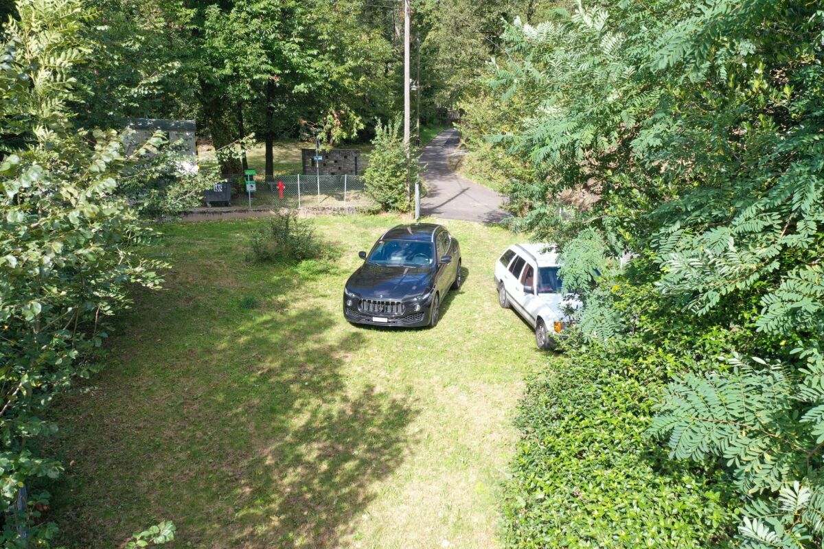Grüne Zufahrt mit geparkten Autos
