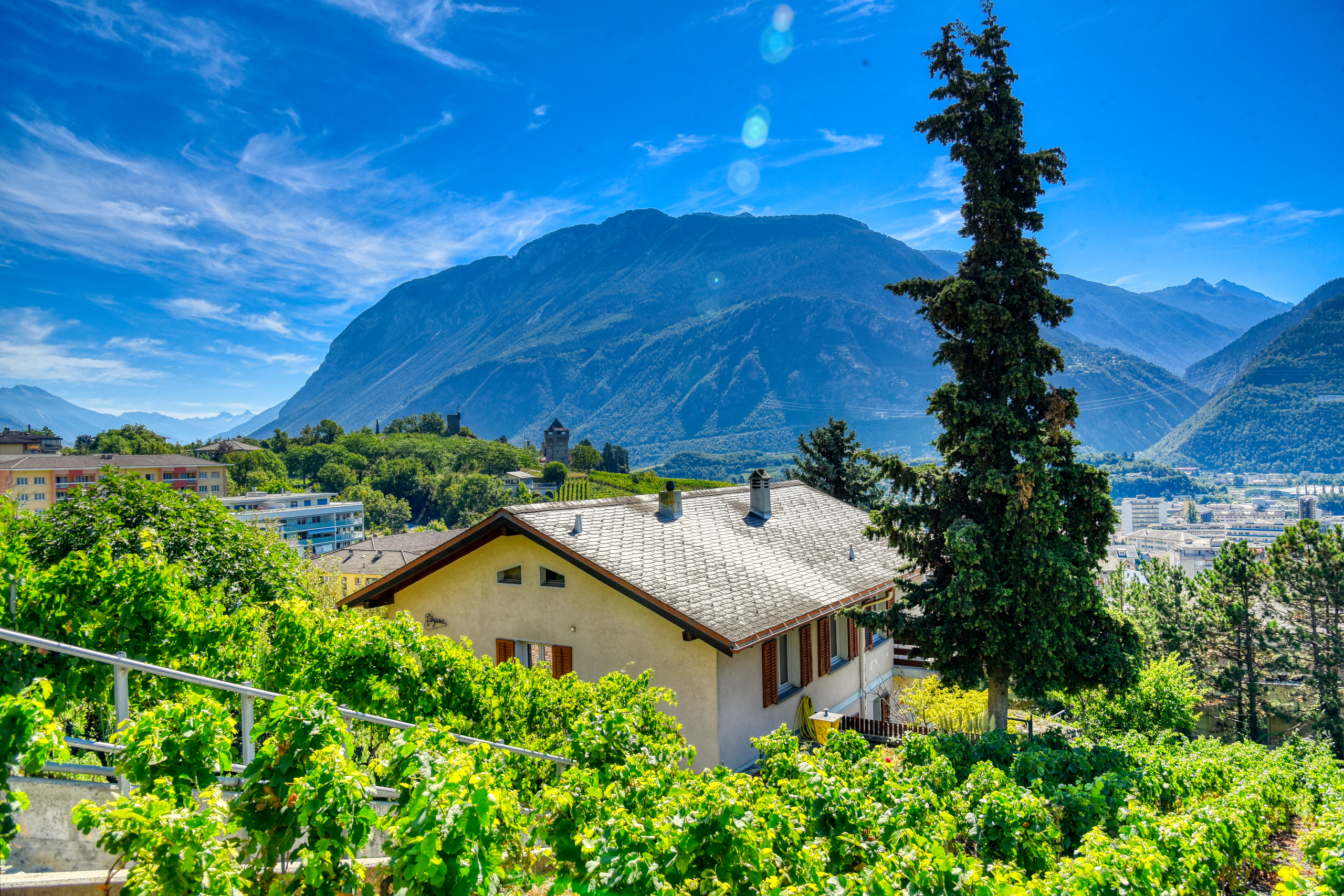 Alpenlandschaft mit Wohnhaus und Weingarten