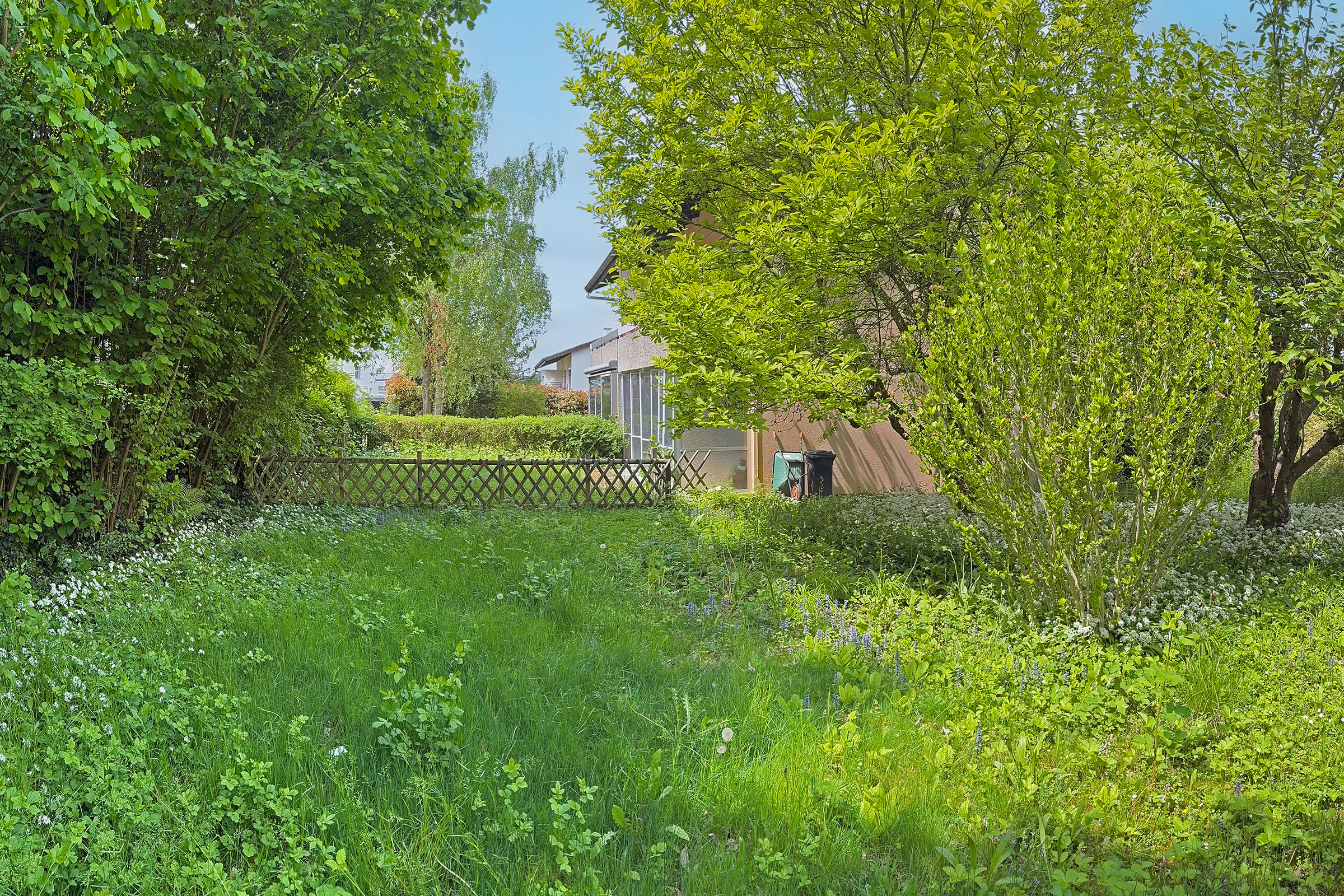Grüner Garten mit Wohnhaus im Hintergrund