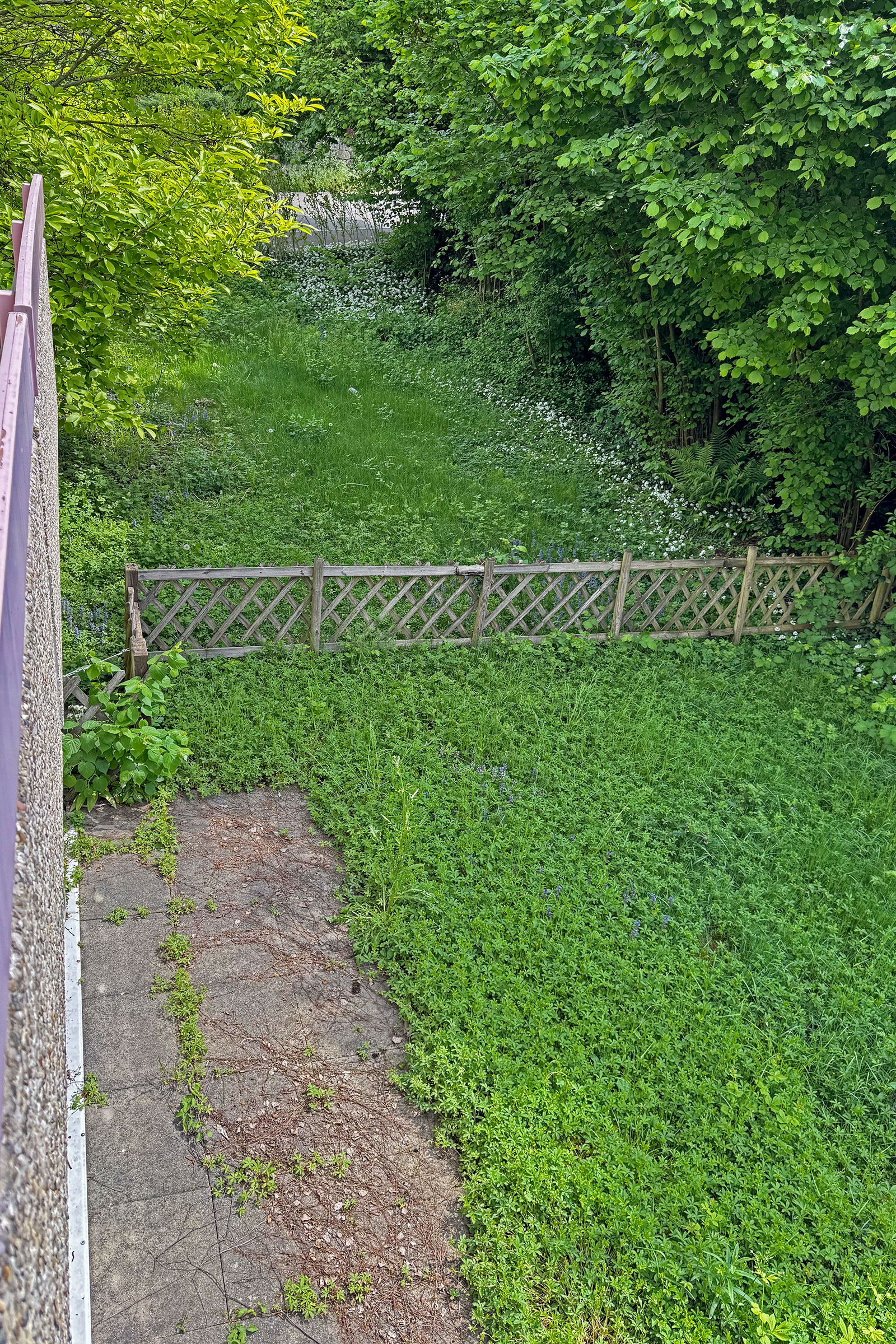Verwilderter Garten mit Holzzaun