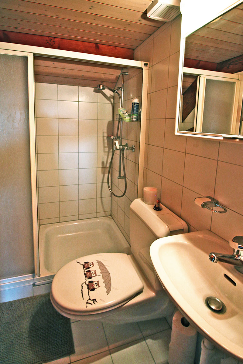 Kleines Badezimmer mit Dusche und WC