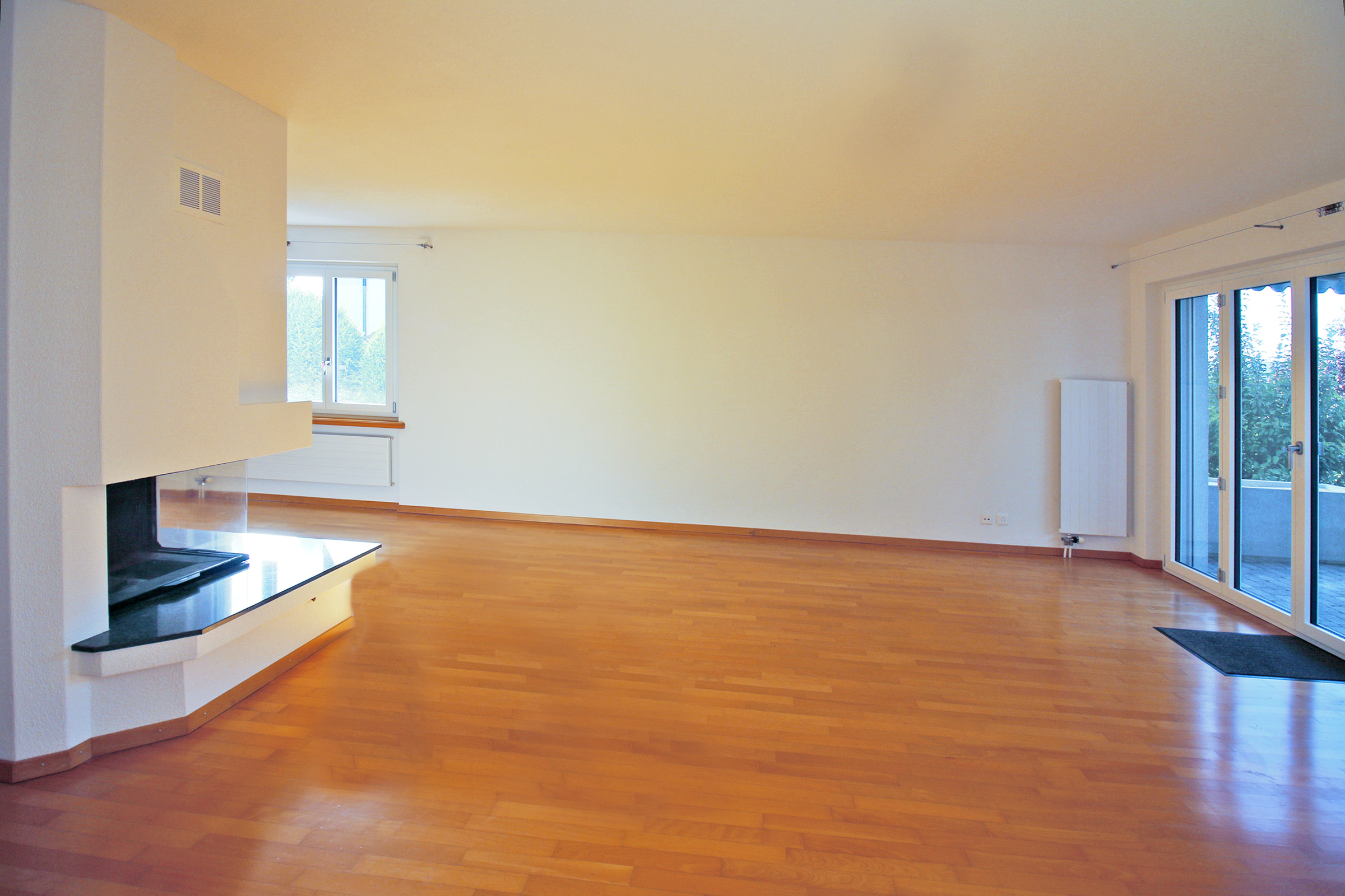 Großer leerer Wohnraum mit Kamin und Terrasse
