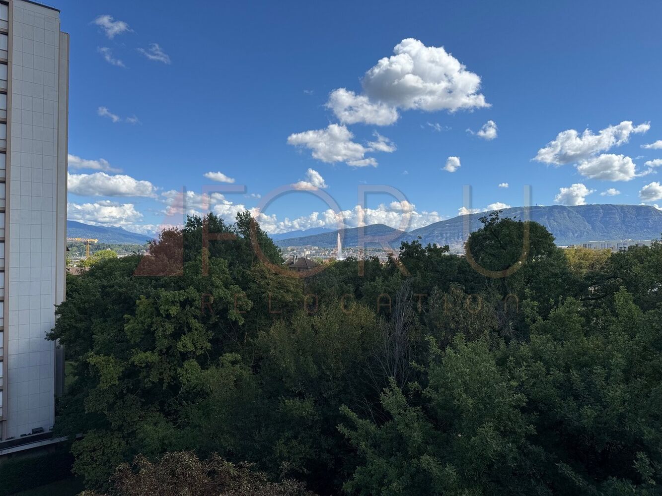 Blick über Baumkronen auf Stadt und Berge