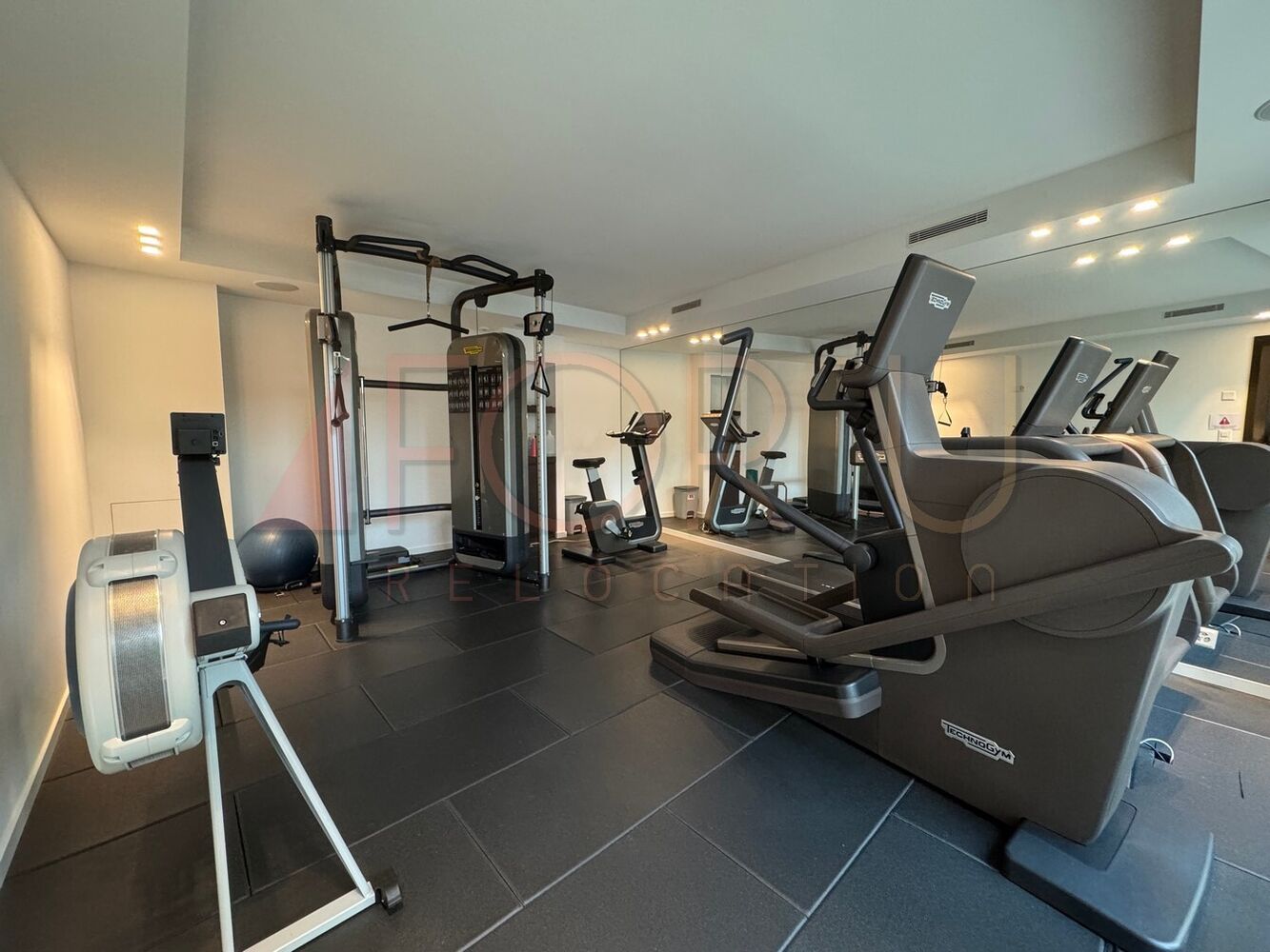 Privates Fitnessstudio mit Cardio- und Kraftgeräten