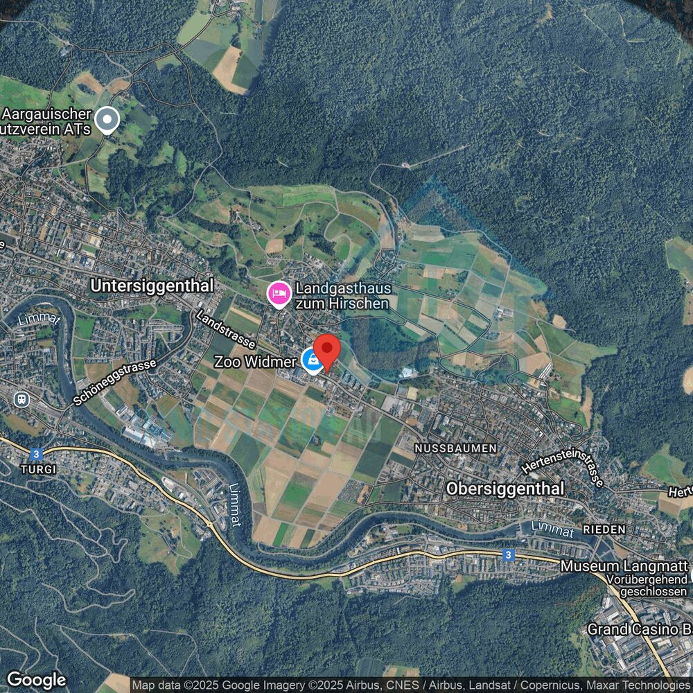 Satellitenkarte eines ländlich-städtischen Gebiets an der Limmat