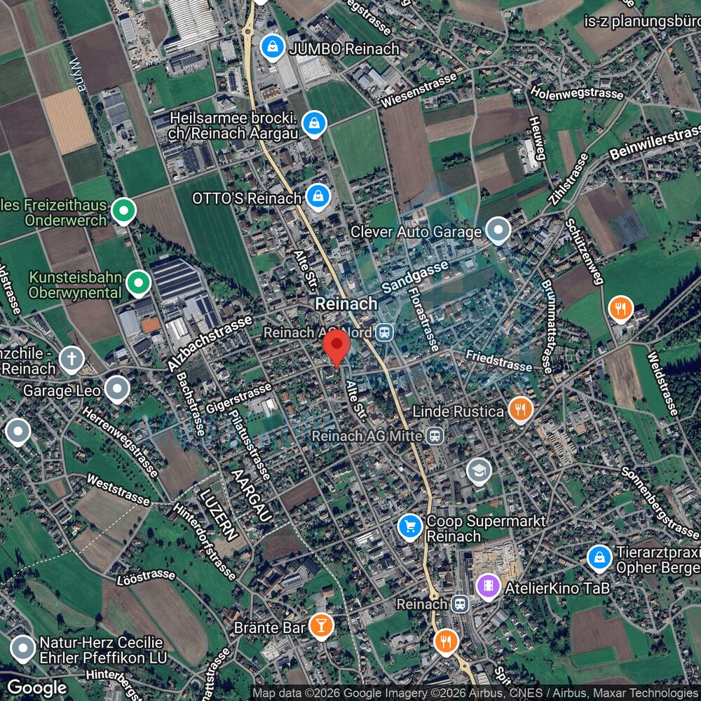 Satellitenkarte von Reinach
