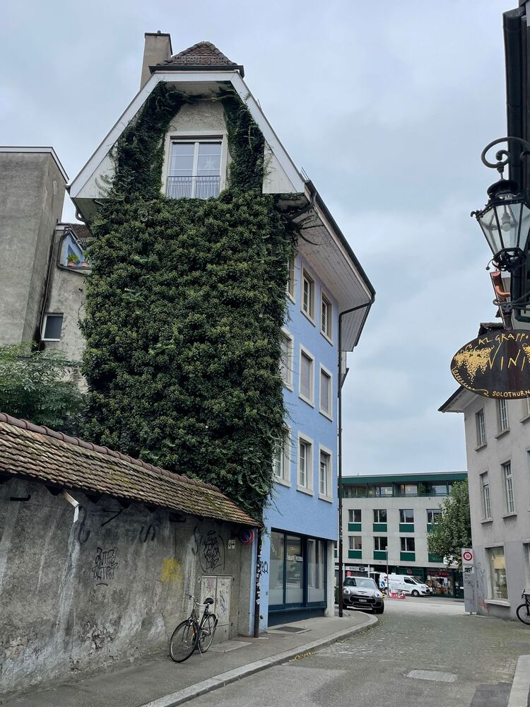 Städtische Gasse mit blauem Altbau und Efeufassade