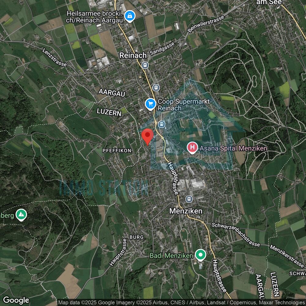 Satellitenkarte von Reinach/Menziken mit markierter Position
