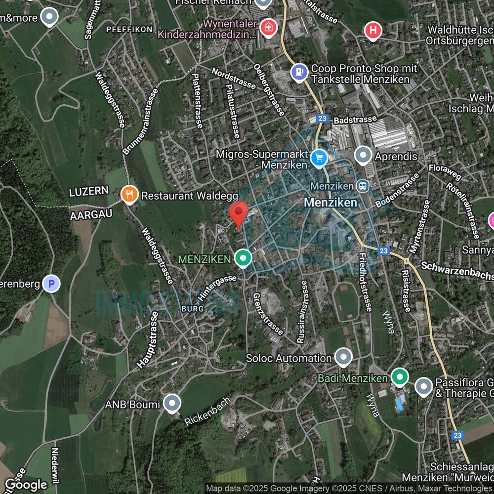 Satellitenkarte eines Ortes in Menziken