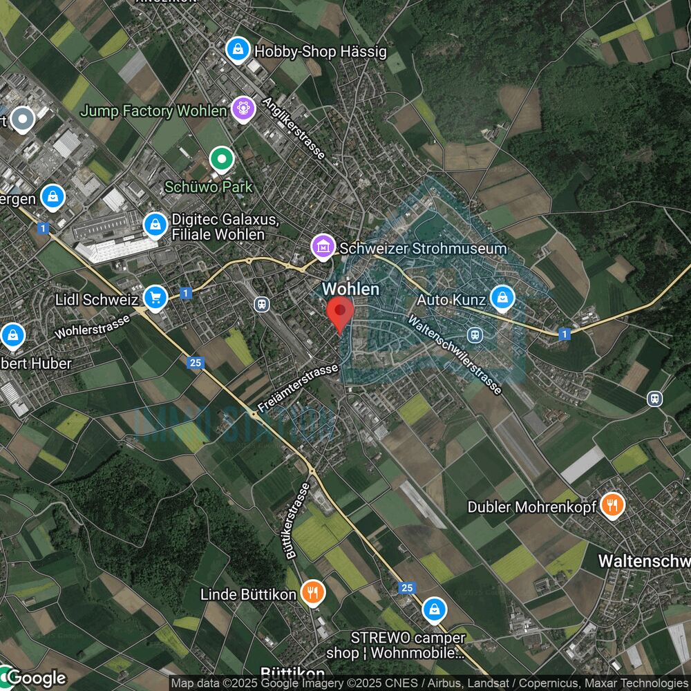 Satellitenkarte der Umgebung Wohlen