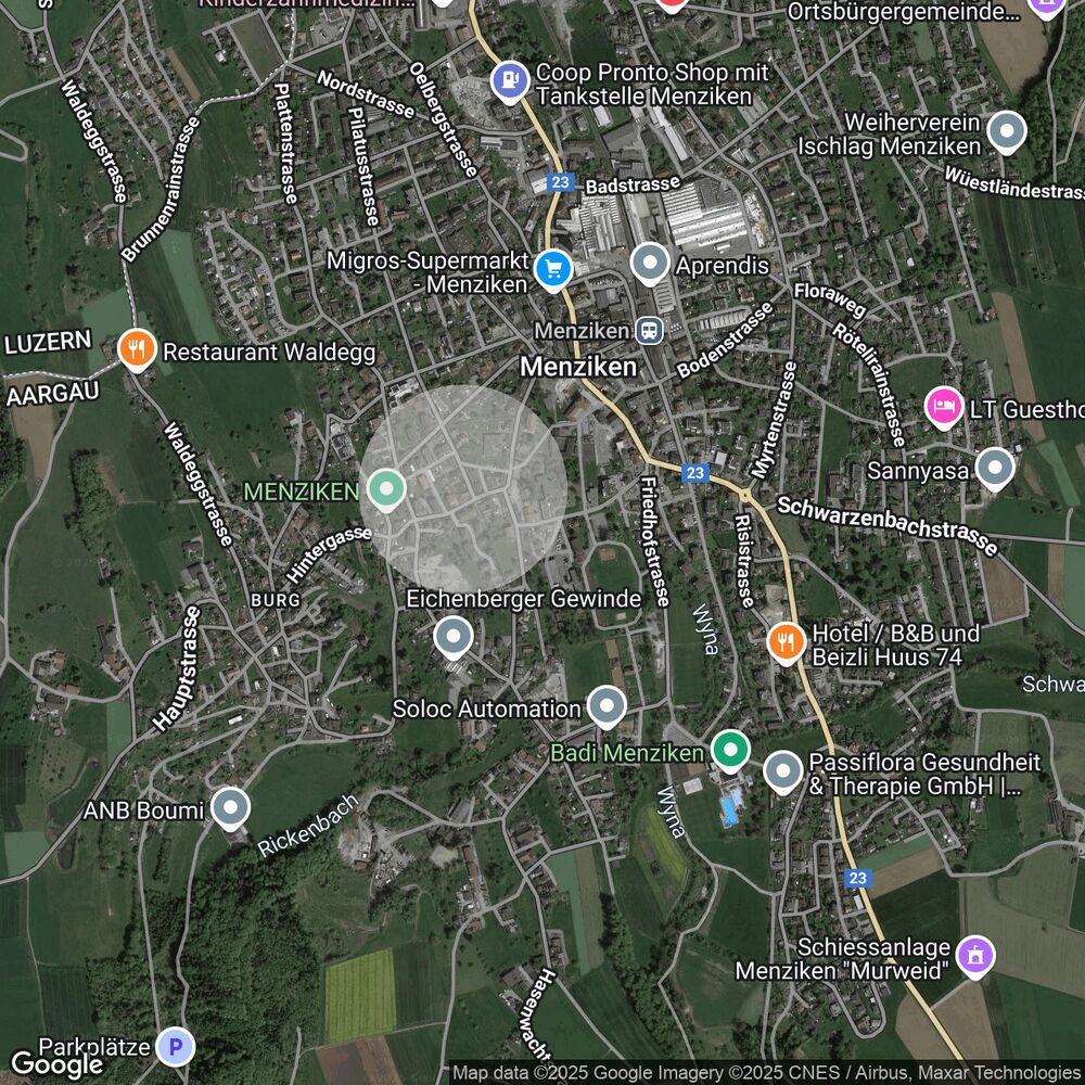 Satellitenkarte von Menziken