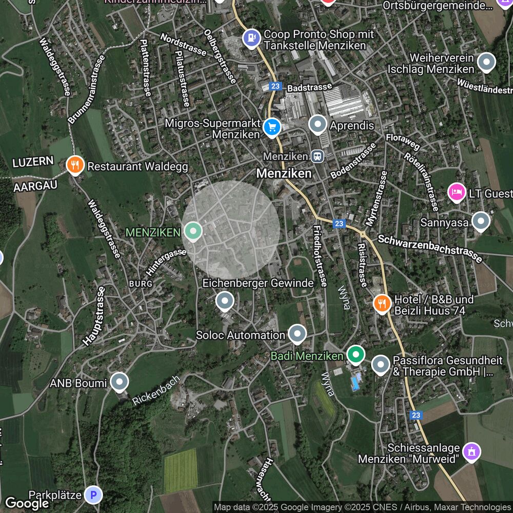 Satellitenkarte von Menziken mit markiertem Suchgebiet