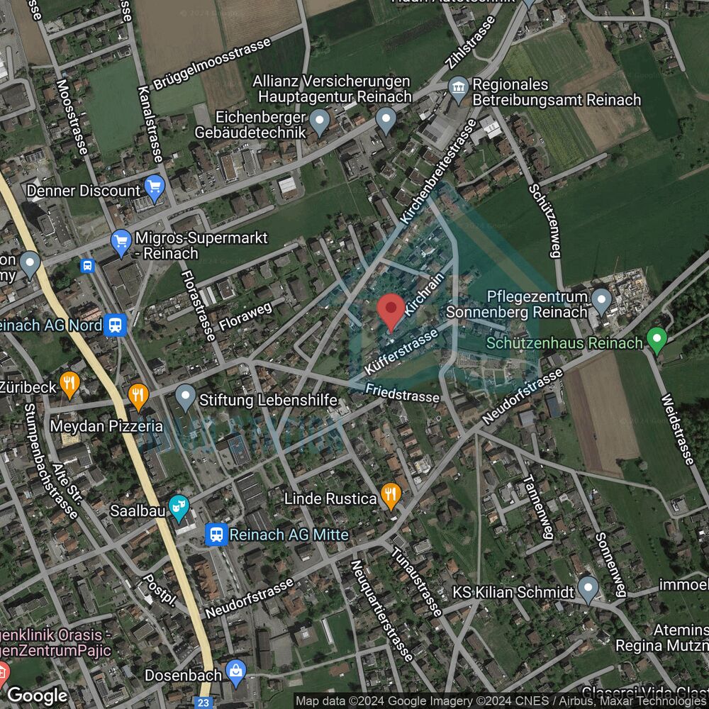 Satellitenkarte eines Stadtgebiets in Reinach