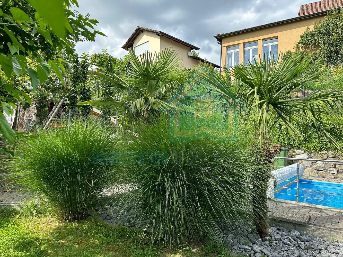 Gartenansicht mit Pool und dichter Bepflanzung