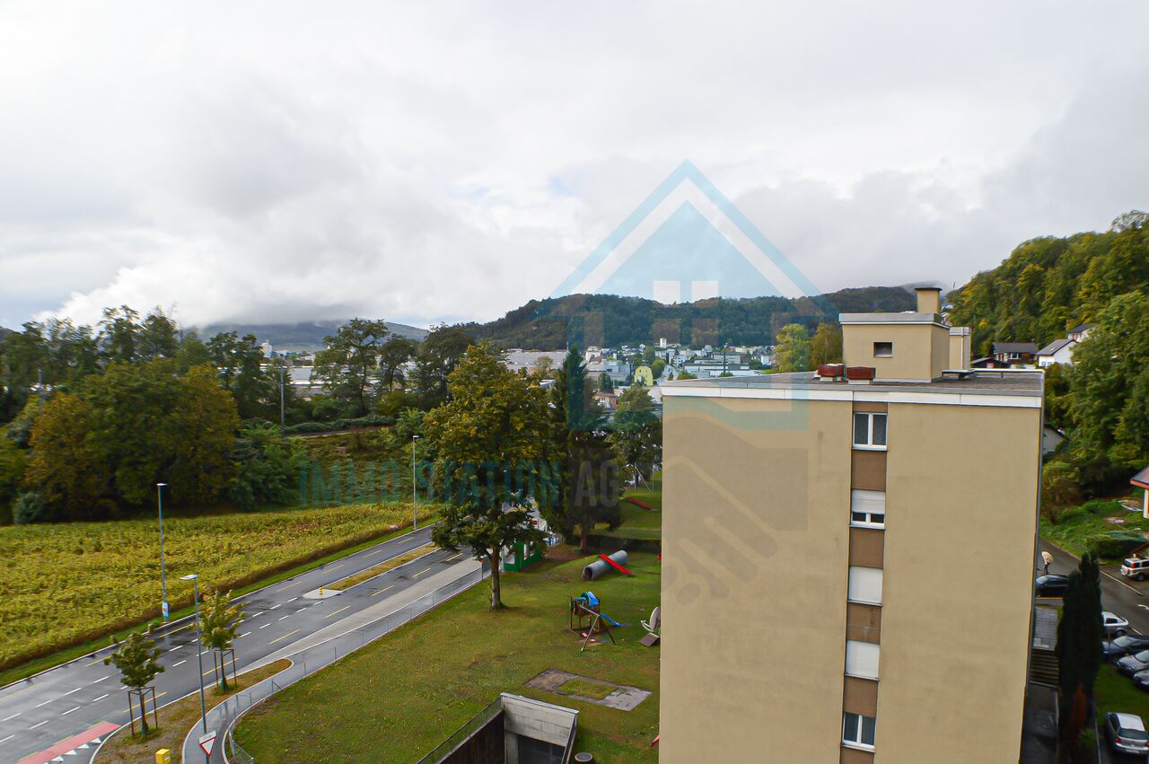 Stadt- und Grünblick von oben