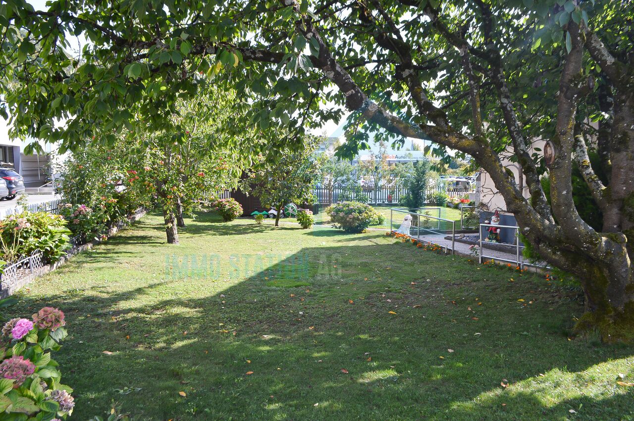 Garten mit Rasen und Bäumen