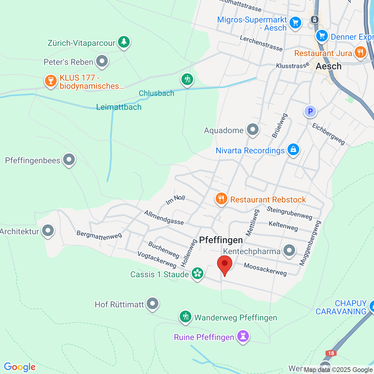 Kartenausschnitt von Pfeffingen bei Aesch