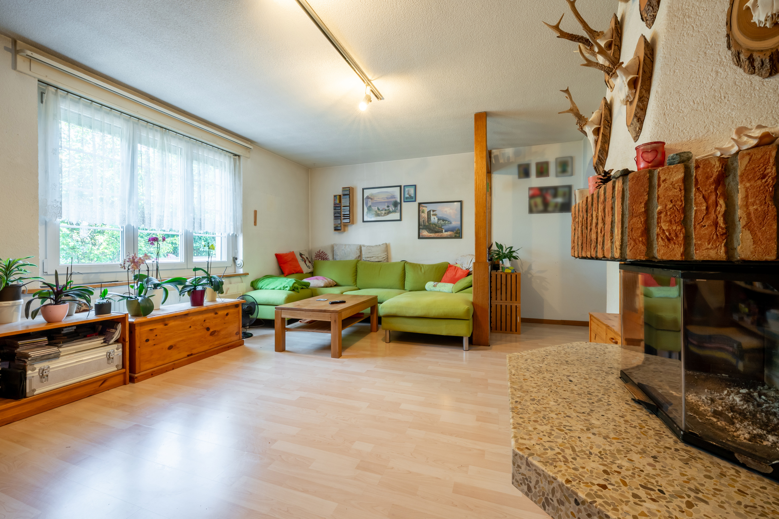 Gemütliches Wohnzimmer mit Kamin und grüner Sofalandschaft