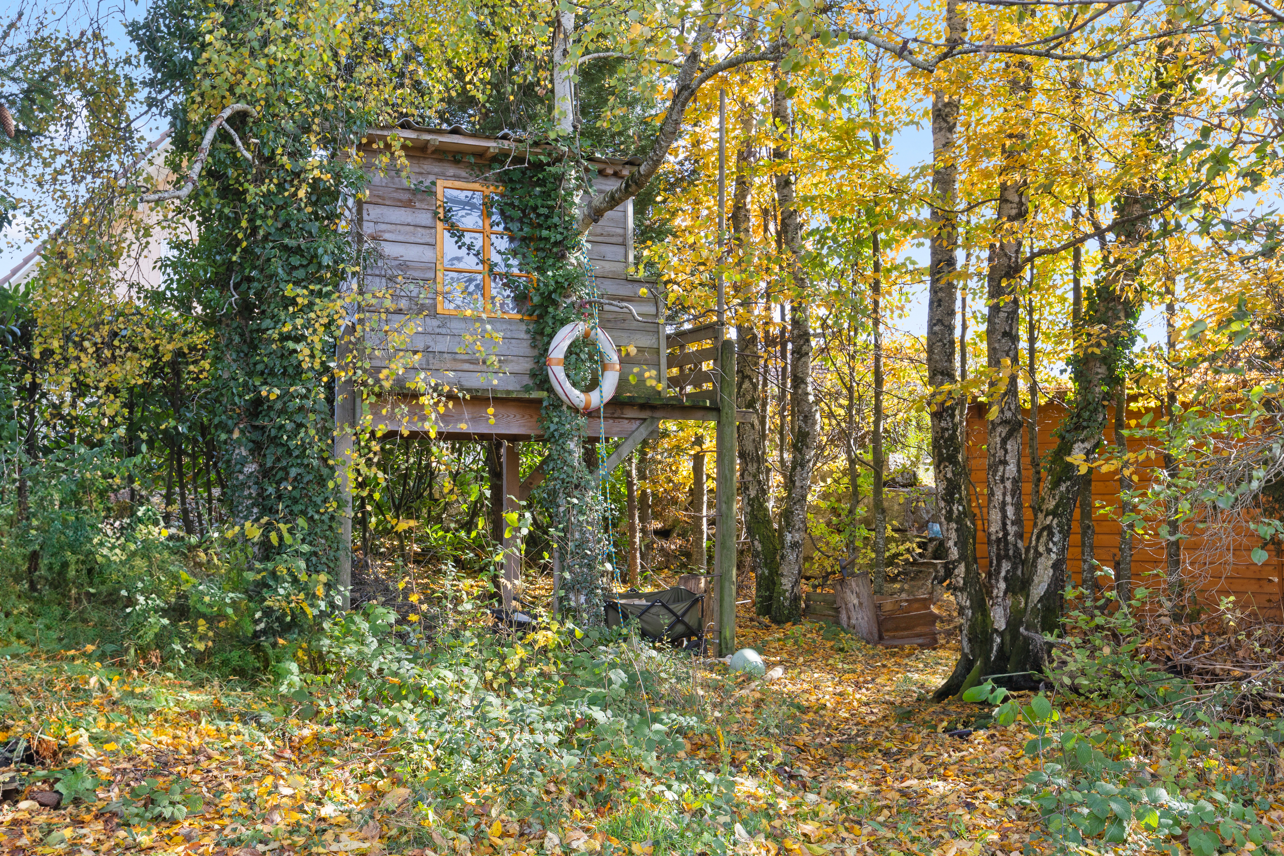 Baumhaus im herbstlichen Garten