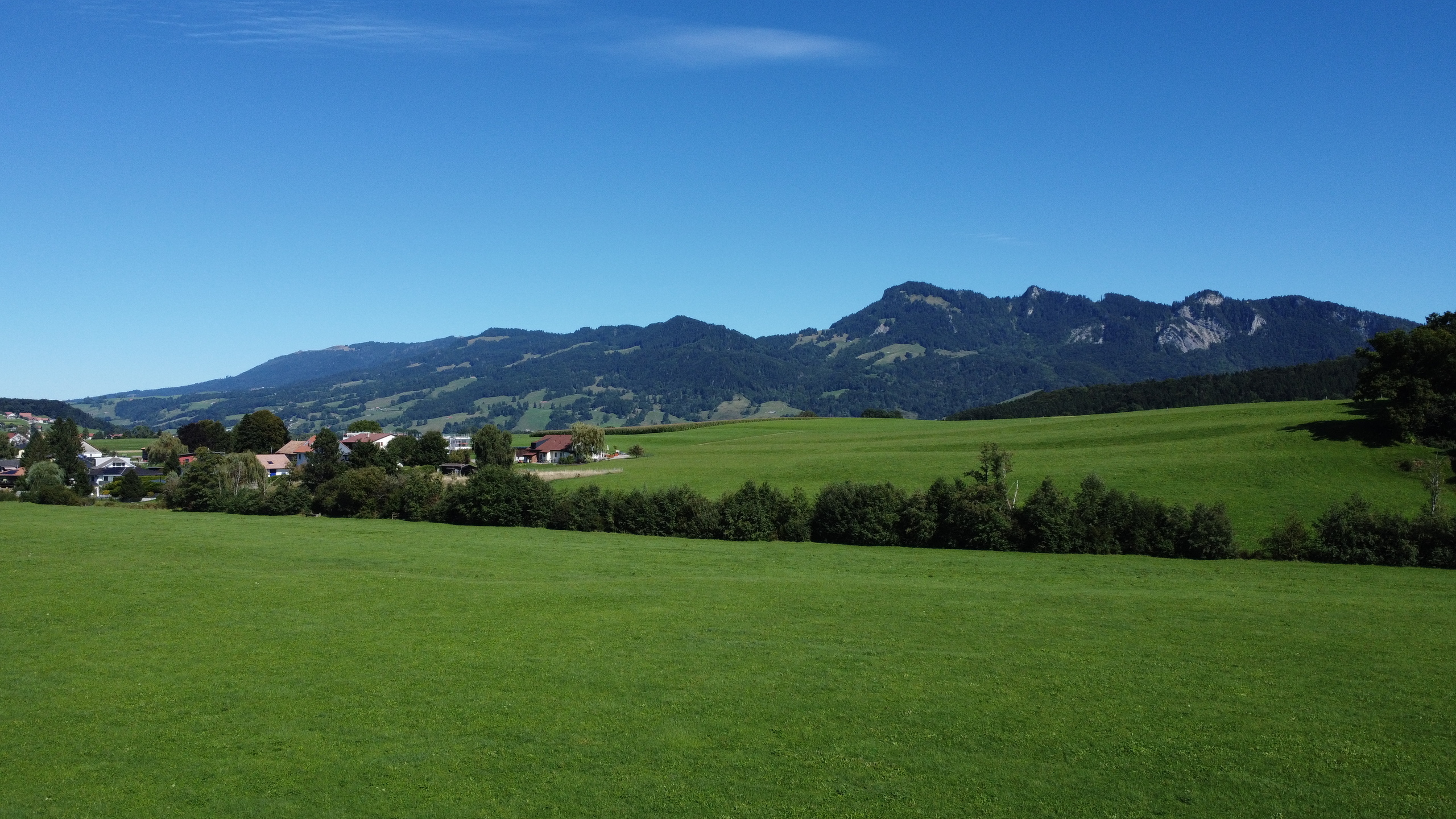 Landschaft mit Wiese und Bergpanorama