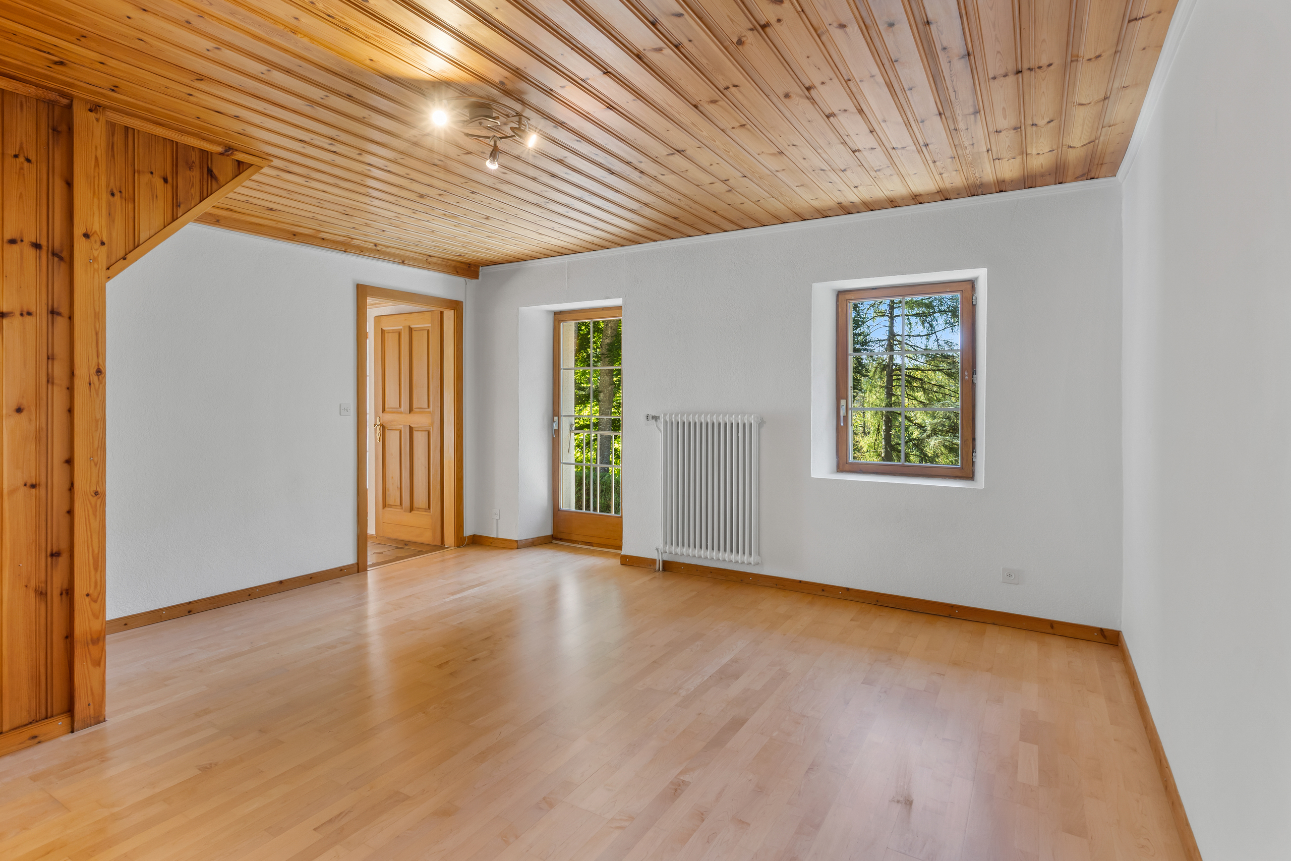 Heller leerer Raum mit Holzdecke und Naturblick