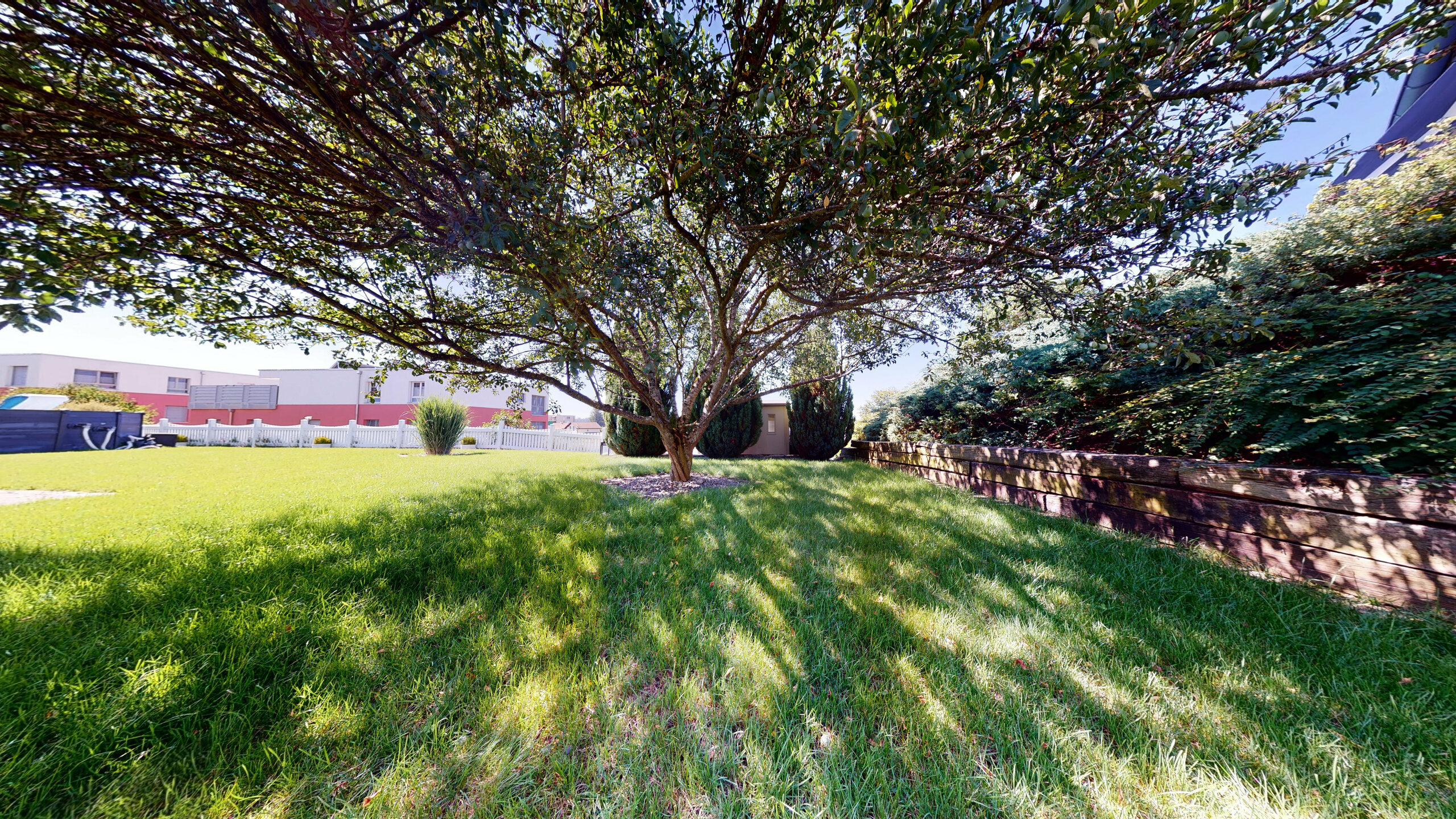Gepflegter Garten mit großem Baum