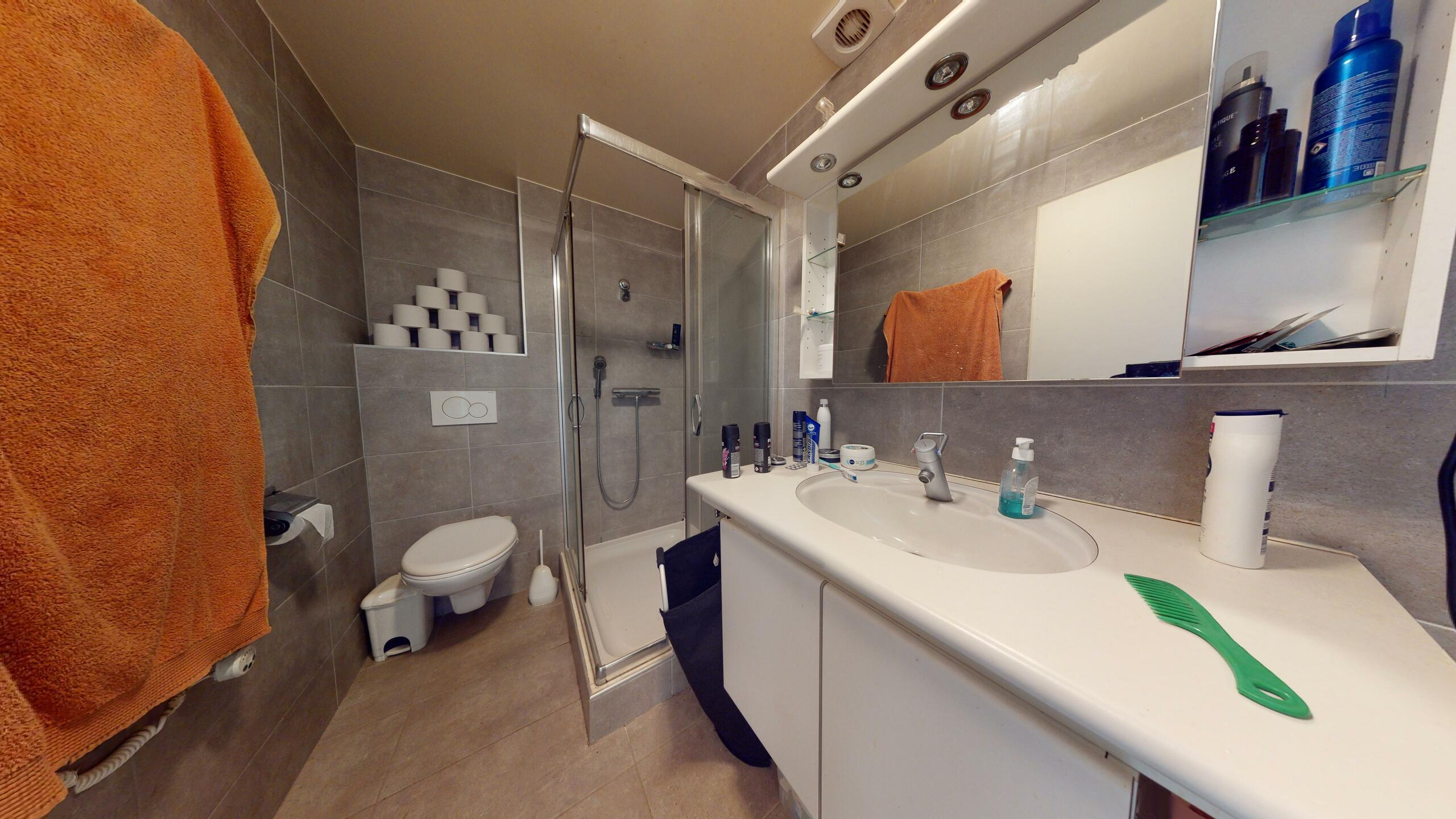 Modernes Badezimmer mit Dusche und Waschtisch