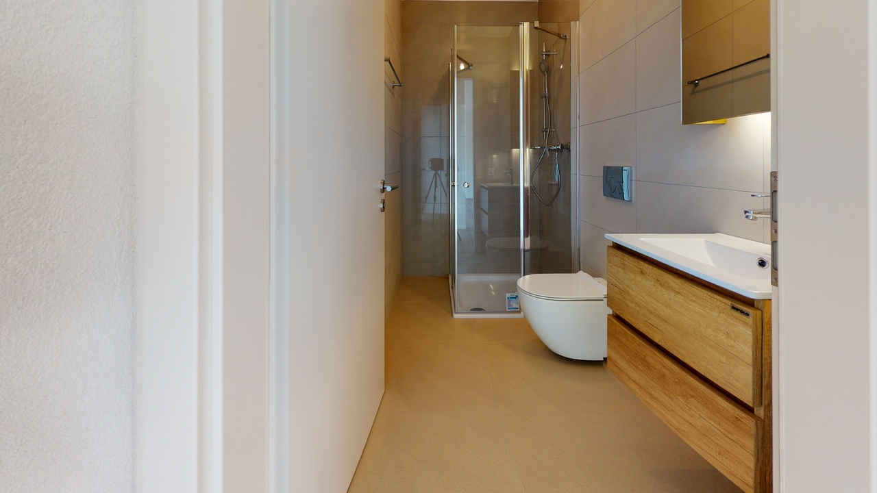 Modernes Badezimmer mit Dusche und Waschtisch