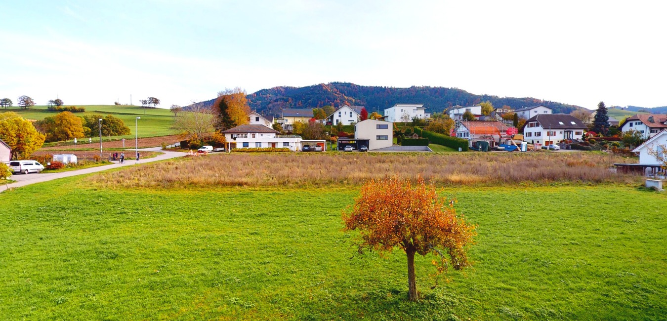 Ländliche Außenansicht mit Wiese und Häusern