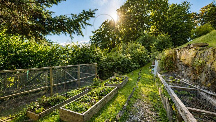 Gartenweg mit Hochbeeten