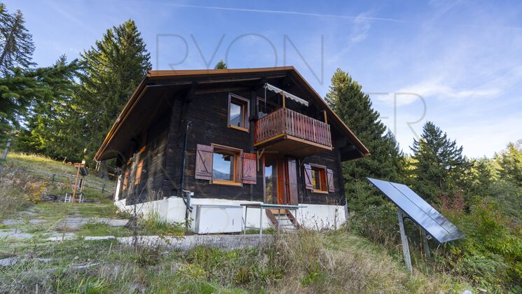 Holzchalet in Waldlage