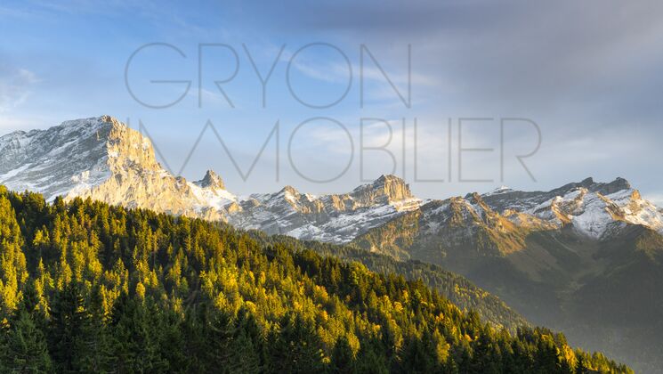 Bergpanorama mit Waldhang