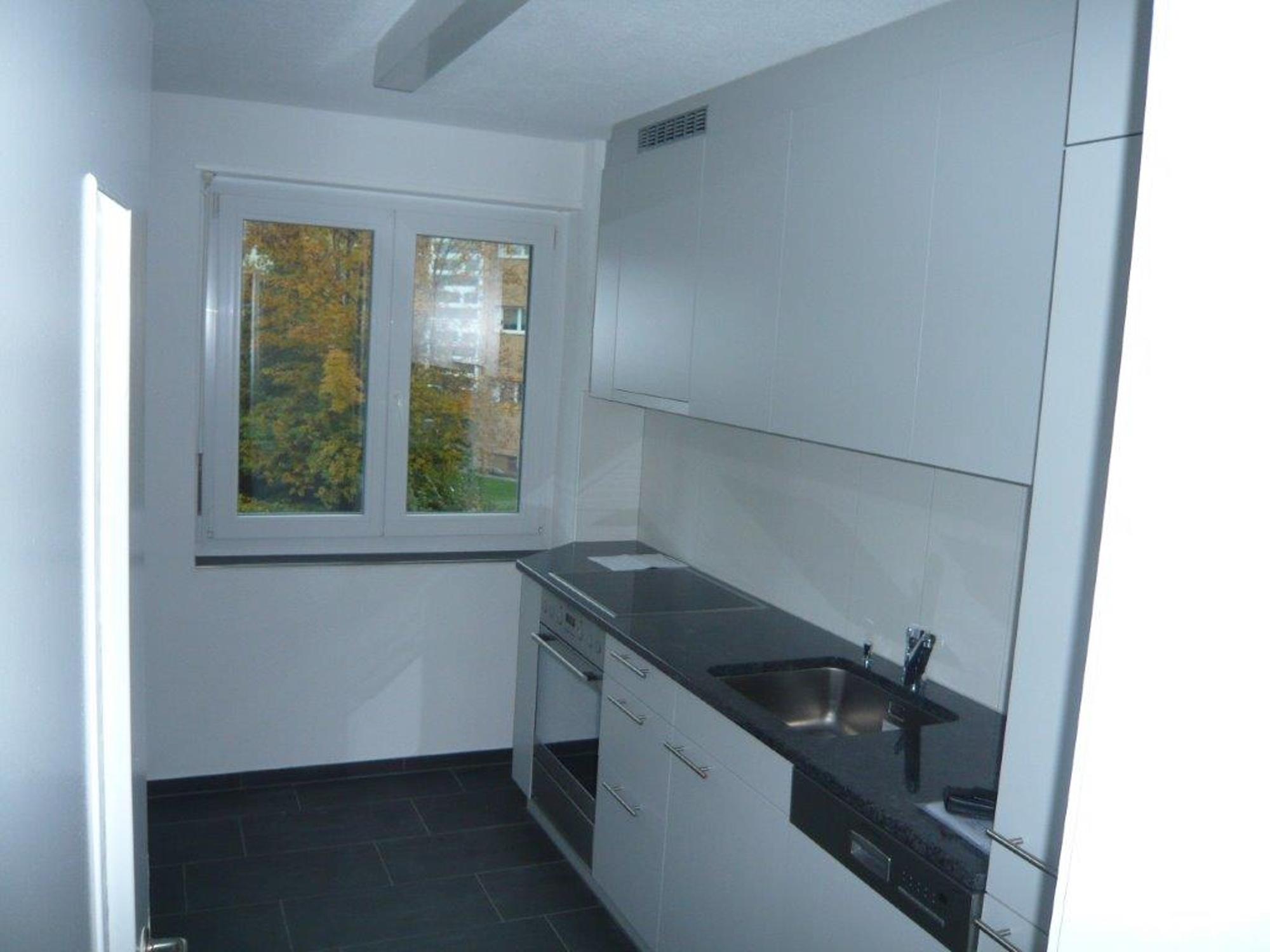 Moderne, schmale Küche mit Fenster