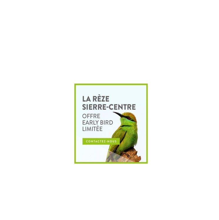 Werbeoverlay mit Vogelmotiv